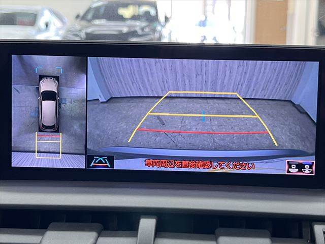 Lexus NX 6