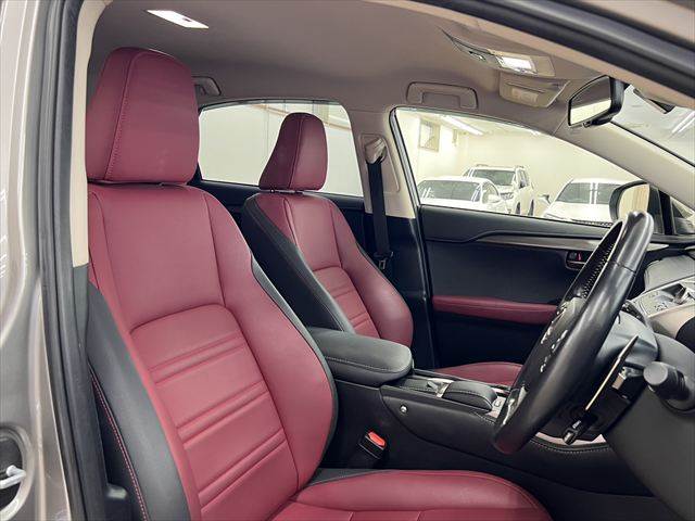 Lexus NX 7
