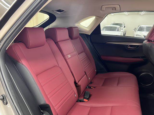 Lexus NX 8