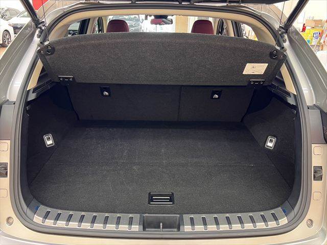 Lexus NX 9