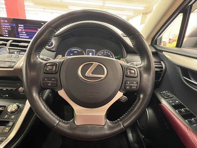 Lexus NX 10