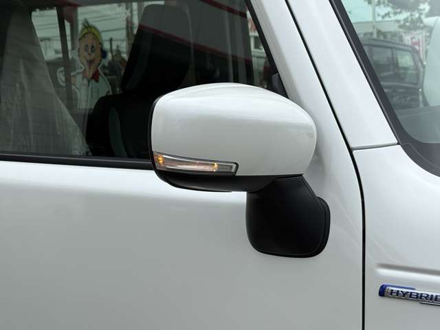 Suzuki Hustler 11
