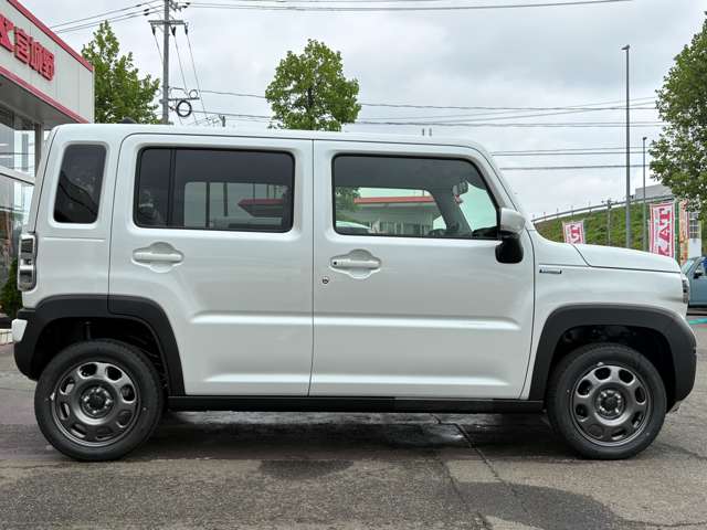Suzuki Hustler 10