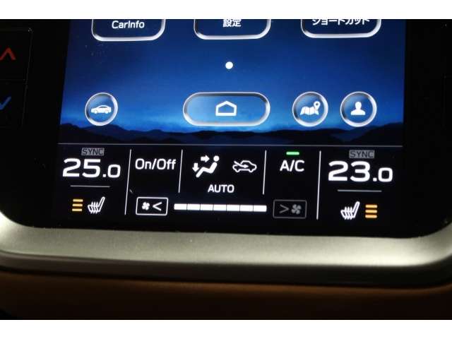 Subaru Legacy Outback 11