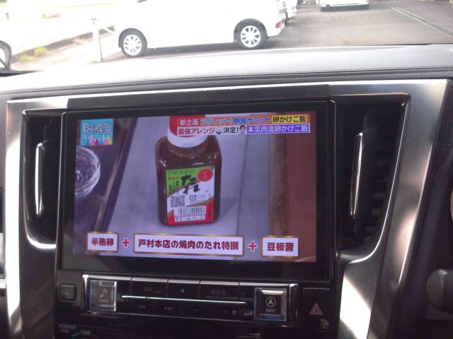 Toyota Alphard 11