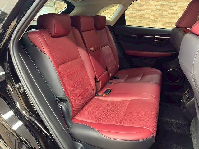 Lexus NX 6