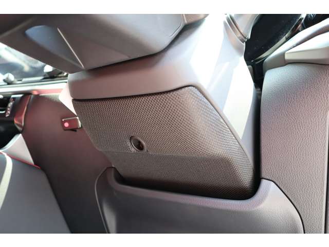 Lexus RX 11