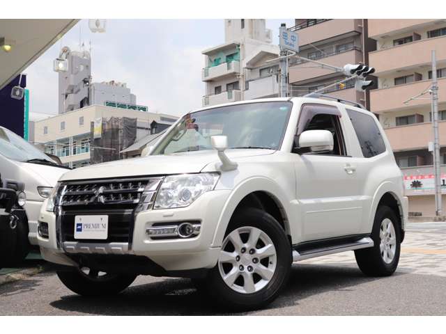Mitsubishi Pajero 8