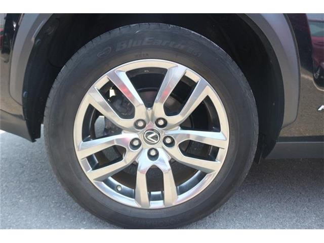 Lexus NX 12