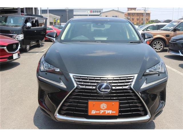 Lexus NX 4