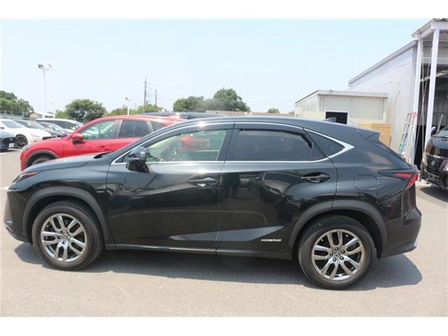 Lexus NX 6