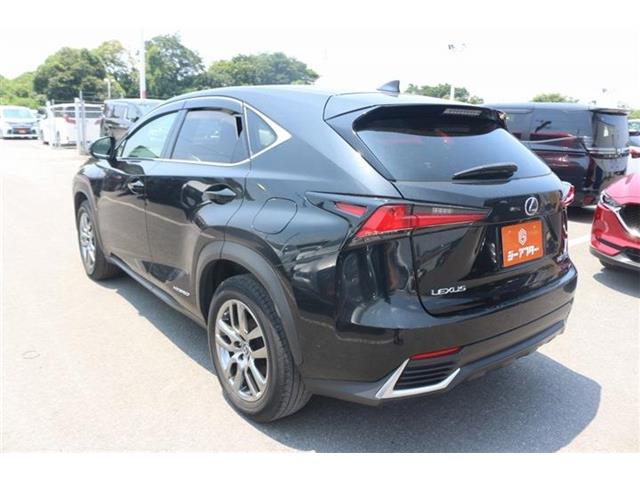 Lexus NX 7