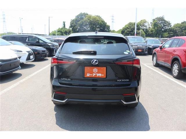 Lexus NX 8