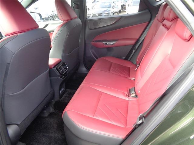 Lexus NX 11