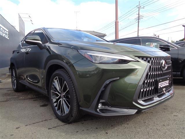 Lexus NX 3