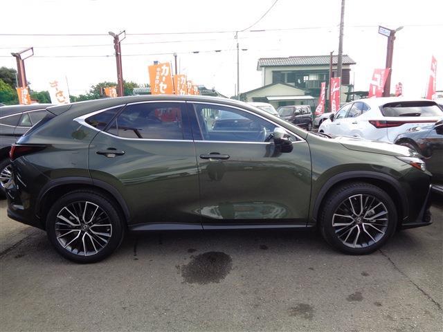 Lexus NX 4