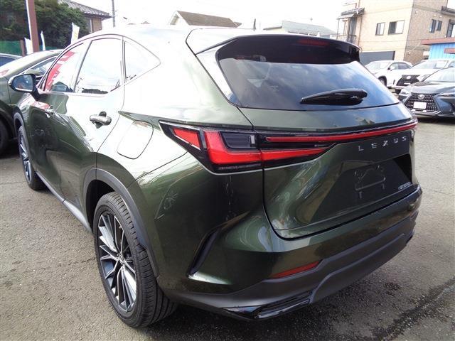 Lexus NX 6