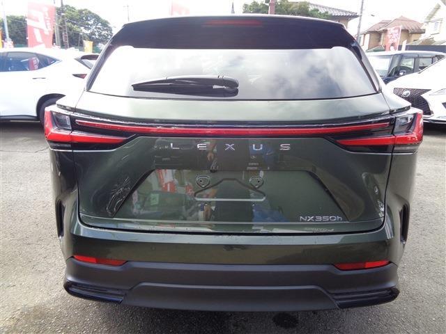 Lexus NX 7
