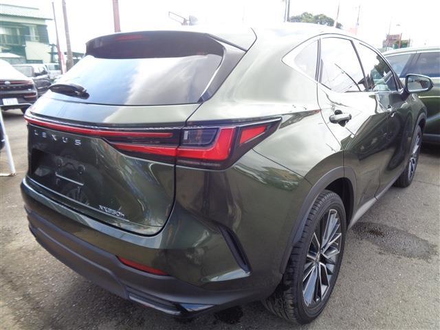Lexus NX 8