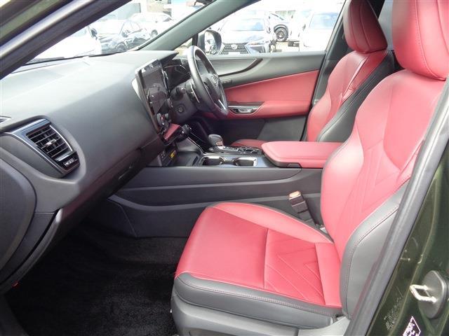 Lexus NX 10