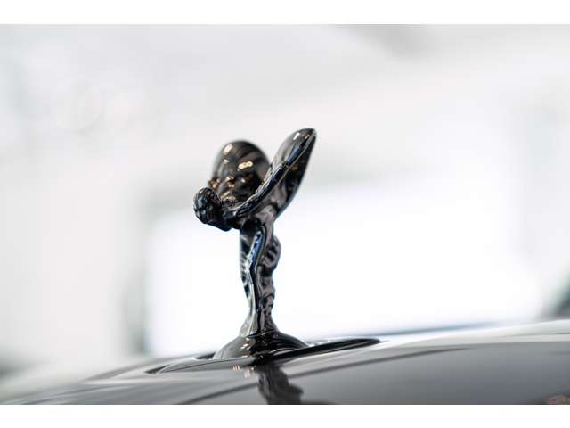Rolls-Royce ブラックバッジカリナン 9
