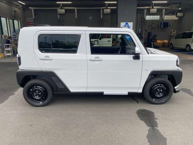 Daihatsu Taft 8