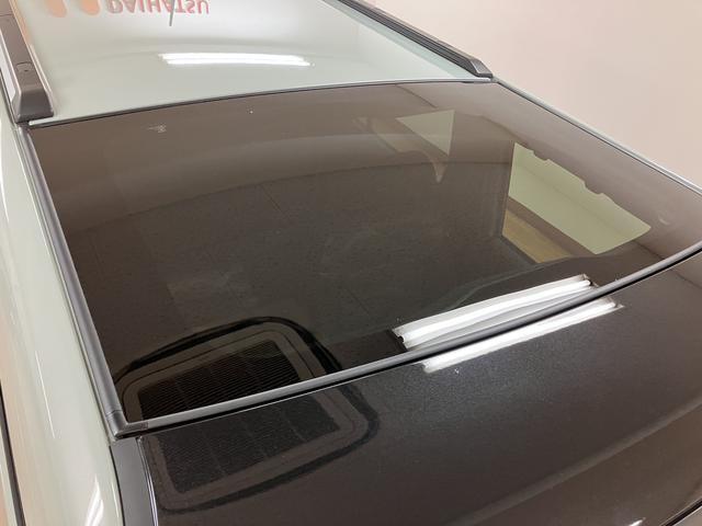 Daihatsu Taft 11