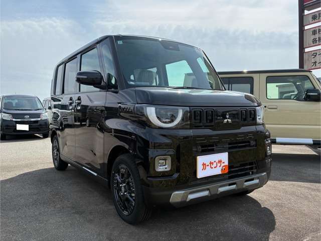 Mitsubishi Delica Mini 3