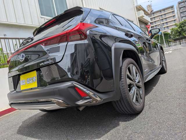 Lexus UX 8