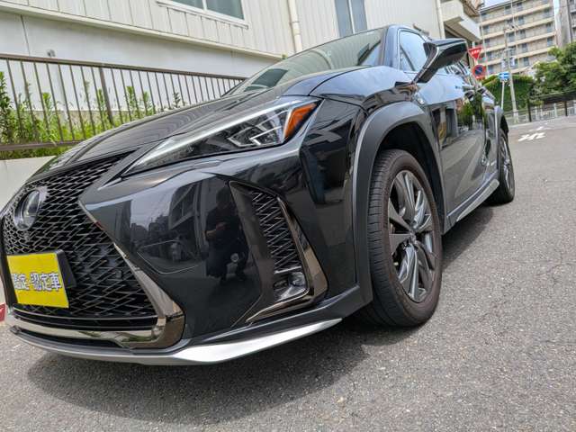 Lexus UX 9
