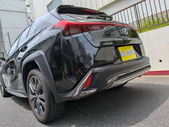 Lexus UX 10