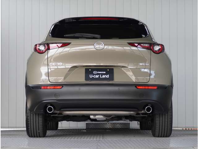 Mazda CX-30 12
