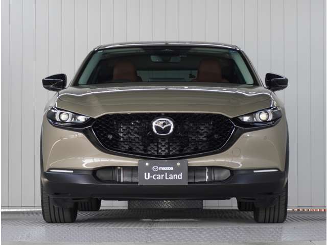 Mazda CX-30 9