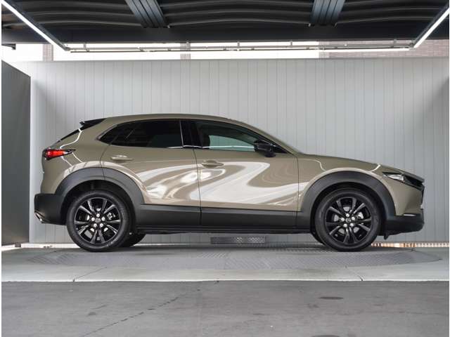 Mazda CX-30 10