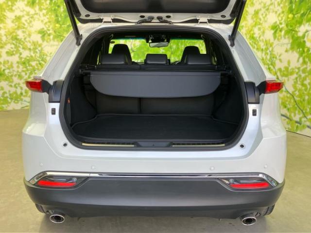 Toyota Harrier 10