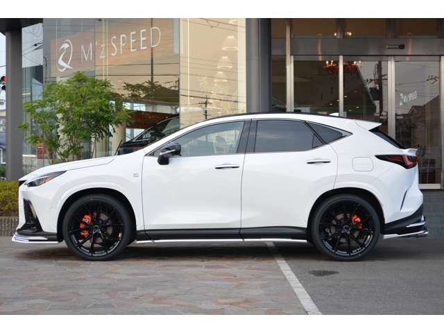 Lexus NX 6