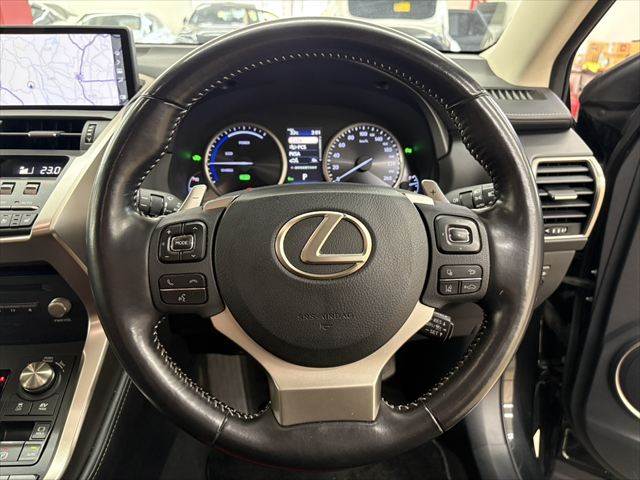 Lexus NX 11