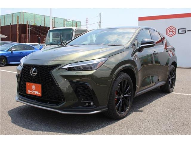 Lexus NX 11