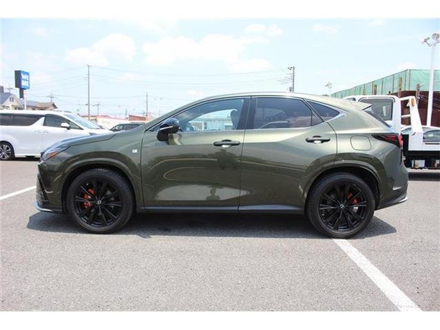 Lexus NX 12