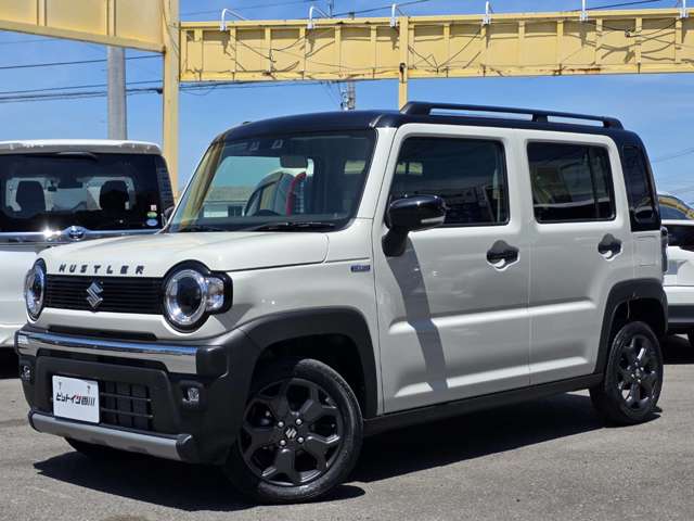 Suzuki Hustler 3