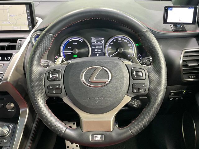 Lexus NX 11