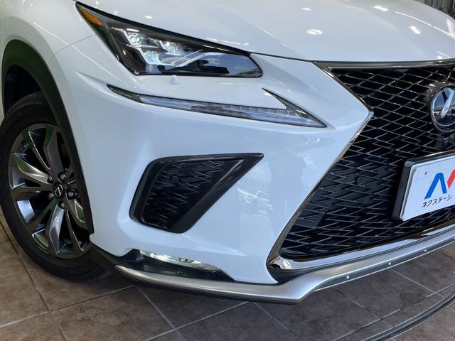 Lexus NX 12