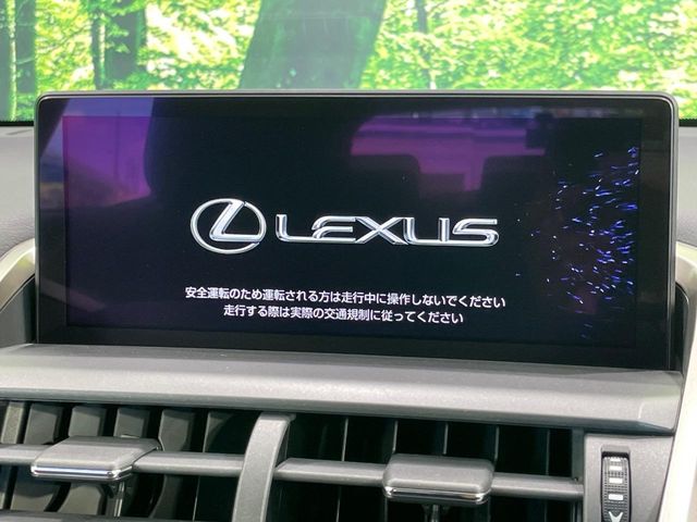 Lexus NX 3