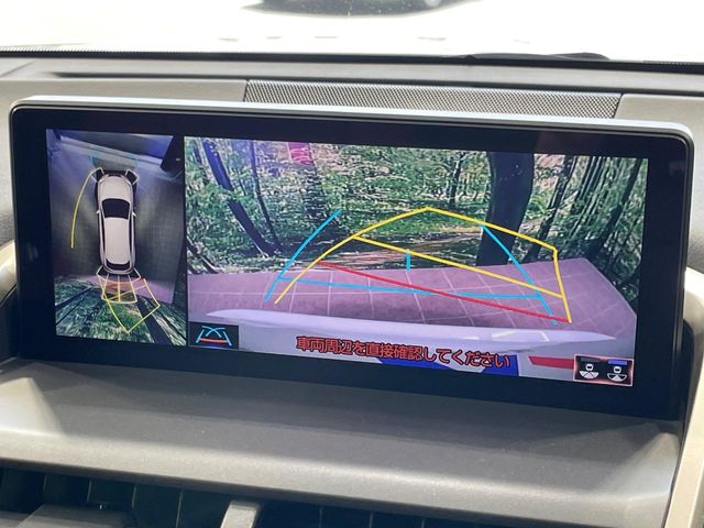 Lexus NX 4