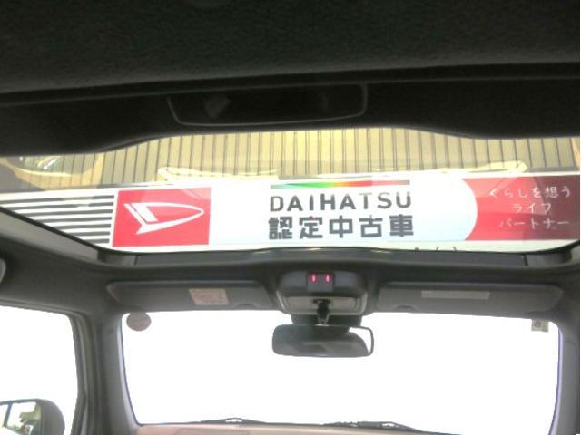 Daihatsu Taft 11