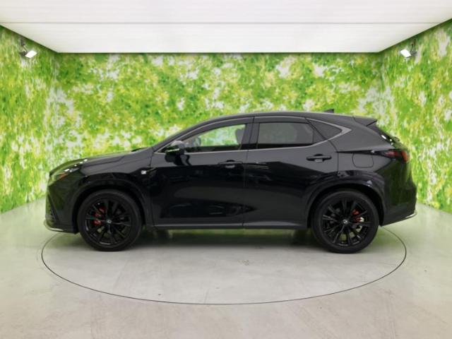 Lexus NX 5