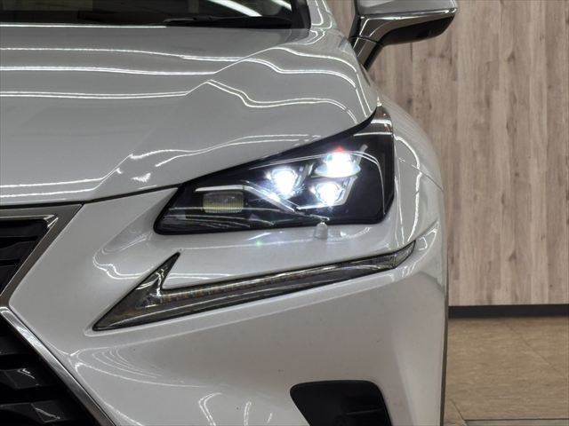Lexus NX 11