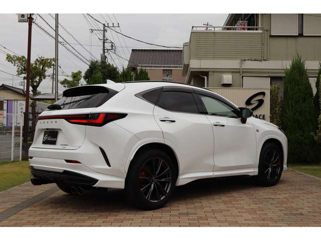Lexus NX 12
