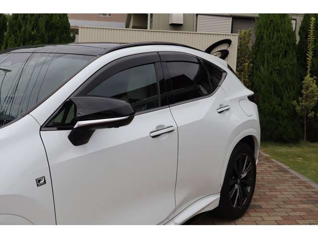 Lexus NX 5