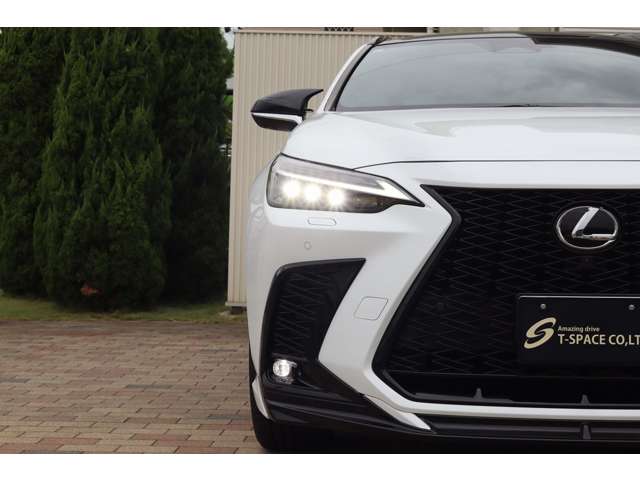 Lexus NX 9